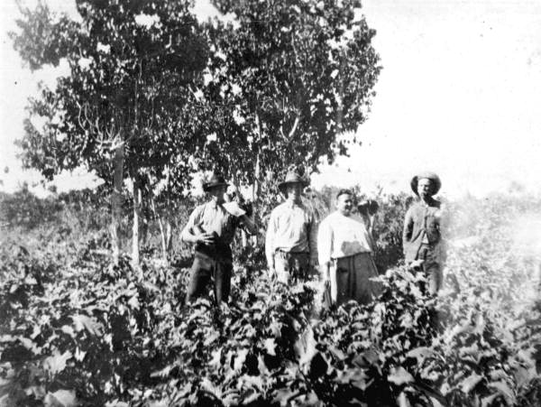 Image shows a group of people standing in a vegetable garden (image courtesy of the Reference Collection, State Archives of Florida)